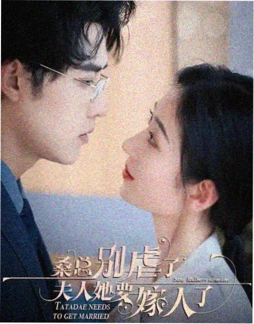 纸鸢塔势力标本图